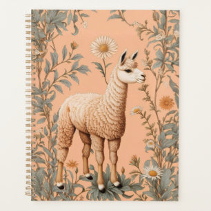 Élégante Lama et Fleurs de marguerite sur la pêche