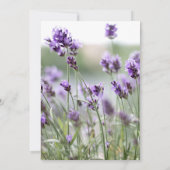 Élégante Lavande Bohème Mariage Invitations (Dos)