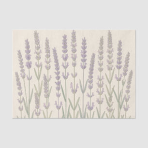 Elegante lavendelstengels Zachte paarse botanische Tissuepapier
