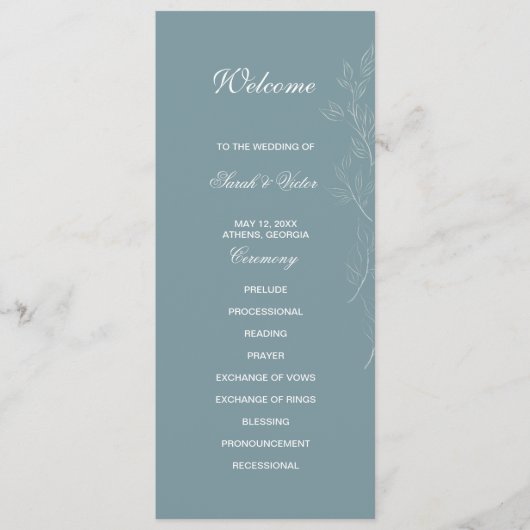 Elegante lichtblauwe blad dubbele zijprogrammakaar programma (Voorkant)