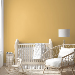 Elegante Lichte Oranje Stevige Kleur Behang