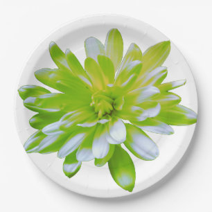 Elegante lichte zachte groene bloemen bloem papieren bordje