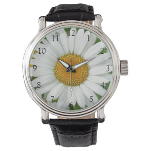 Elegante madeliefjes witte bloemen groen horloge