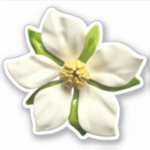 Elegante Magnolia Blossom Bloem Bruiloft Sticker (Voorkant)