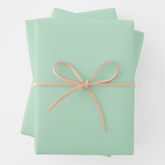 Elegante Mint Green Wrapping Paper Set (In situ)