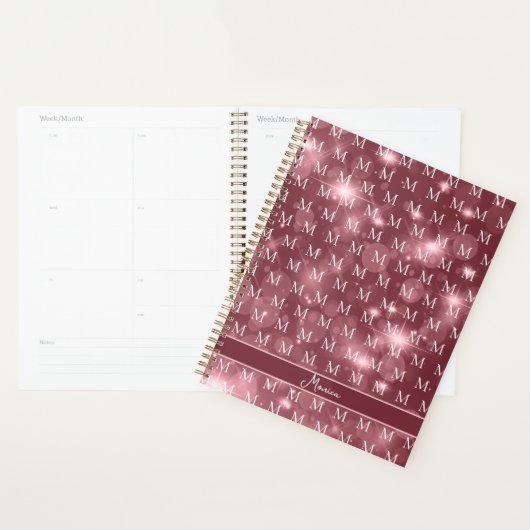 Elegante moderne professionele vrouw planner (Display)