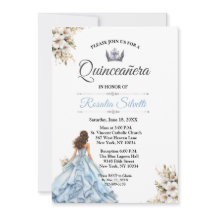 Elegante moderne Quinceanera blauw en zilver
