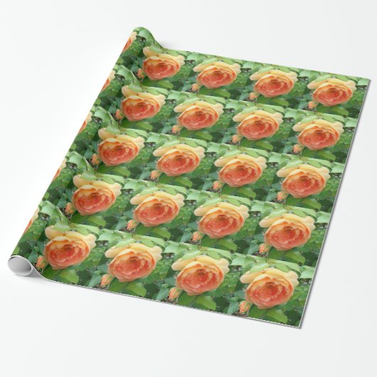 Elegante Oranje Rozen Cadeaupapier (Uitgerold)