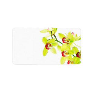 Elegante orchidee bruiloft of algemene blanco etiket
