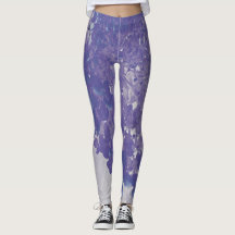 Elegante Paarse en Grijze Limelight Hortensia