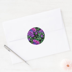 Elegante paarse magenta waterverf bloemen bloemmot ronde sticker