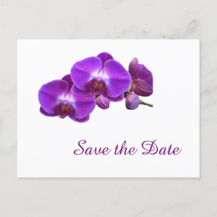 Elegante, paarse orchideeënbloemen sparen de datum aankondigingskaart