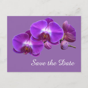 Elegante, paarse orchideeënbloemen sparen de datum aankondigingskaart