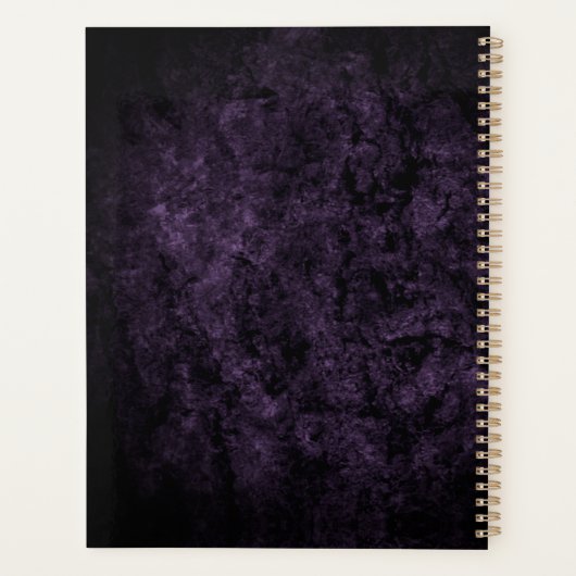 Élégante parties scintillant girly iridescente (Dos)