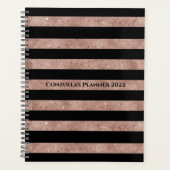 Élégante Parties scintillant Rose noir or rayé (Devant)