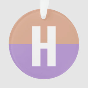 Elegante pastel Colorblock Monogram Initiaal Lette Ornament