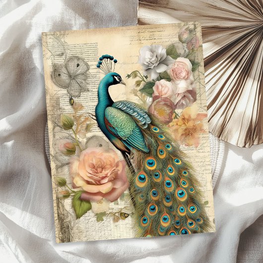Elegante pauw en blush rozen tissuepapier