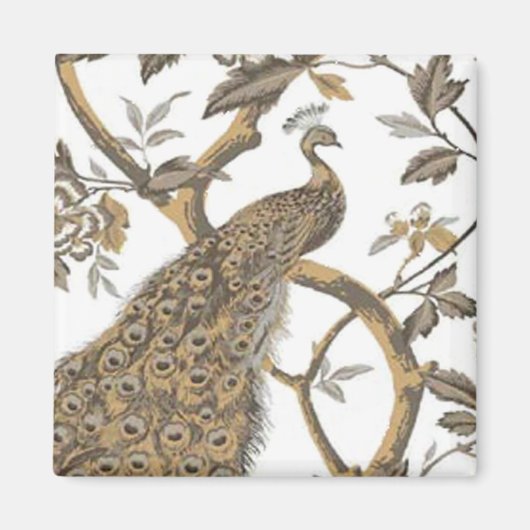 Elegante pauw op witte magneet (Voorkant)