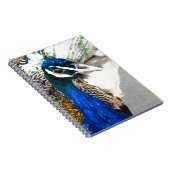 Elegante Pauw Vogel en Veerkunst Notitieboek (Rechterzijde)