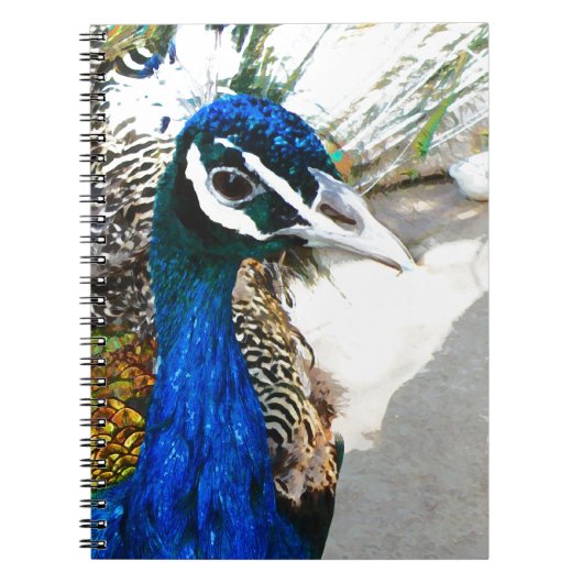 Elegante Pauw Vogel en Veerkunst Notitieboek (Voorkant)