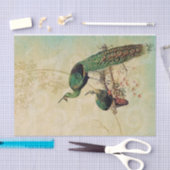 Elegante  pauwen tissuepapier (Craft)