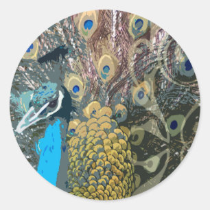 Elegante Peacock bruiloft Stickers