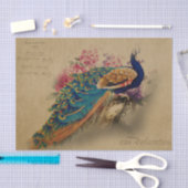 Elegante  Peacock Tissuepapier (Craft)