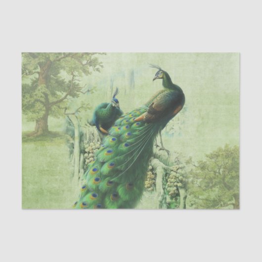 Elegante  Peacock Tissuepapier (Voorkant)