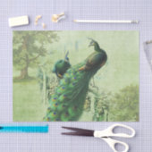 Elegante  Peacock Tissuepapier (Craft)