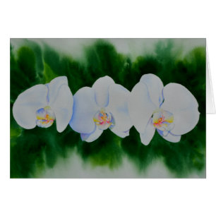 Elégante peinture chic d'orchidée blanche aquarell