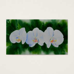 Elégante peinture d'orchidée tropicale blanche
