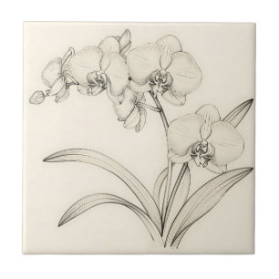 Elegante Phalaenopsis Orchidee Lijnkunst Tegeltje