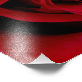 Élégante photo Rose rouge (Coin)