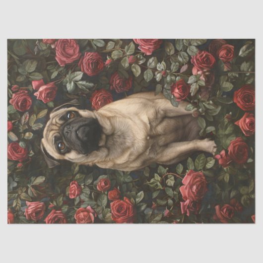 Elegante pug omgeven door Rozen decoupage Tissuepapier (Voorkant)