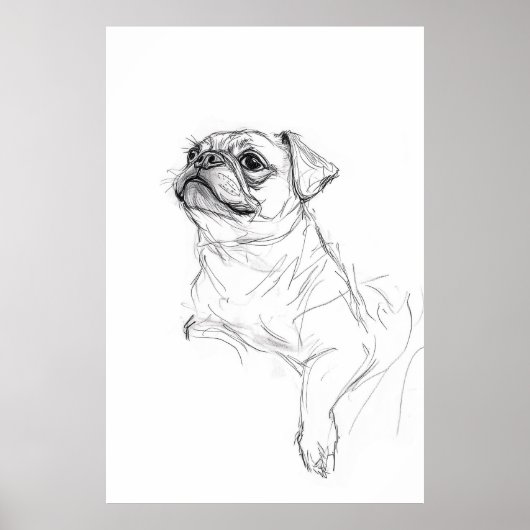 Elegante Pug Portrait Sketch - Premium Poster (Voorkant)
