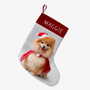 Elegante rode huisdierhond foto aangepaste naam kleine kerstsok