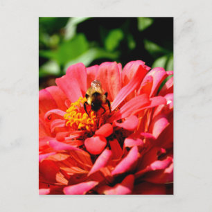Elegante rode koraal bloemenschattige hommel briefkaart