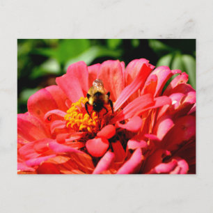 Elegante rode koraal bloemenschattige hommel briefkaart