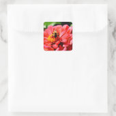 Elegante rode koraal bloemenschattige hommel vierkante sticker (Tas)