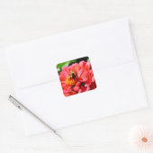 Elegante rode koraal bloemenschattige hommel vierkante sticker (Envelop)