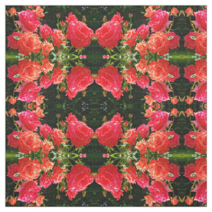 Elegante rode oranje koraal rozen rozentuin stof