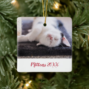 Elegante rode script huisdier kat foto modern keramisch ornament
