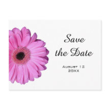 Elegante Romantische Roze Gerbera Daisy