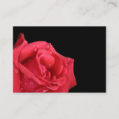 Elégante Rose Rouge Réception Insertion Cartes (Dos)