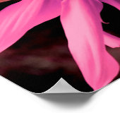 Elegante roze bloem Zonnebloem roze bloem Poster (Hoek)