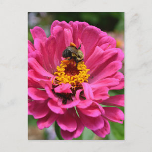 Elegante roze bloemen bloem moeder madeliefje honi briefkaart