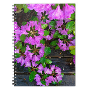 Elegante roze bloemen roze azalea's roze bloemen notitieboek