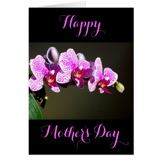 Elegante roze bloemen tropische roze orchideeën (Voorkant)