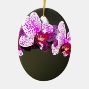 Elegante roze bloemen tropische roze orchideeën keramisch ornament