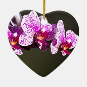 Elegante roze bloemen tropische roze orchideeën keramisch ornament